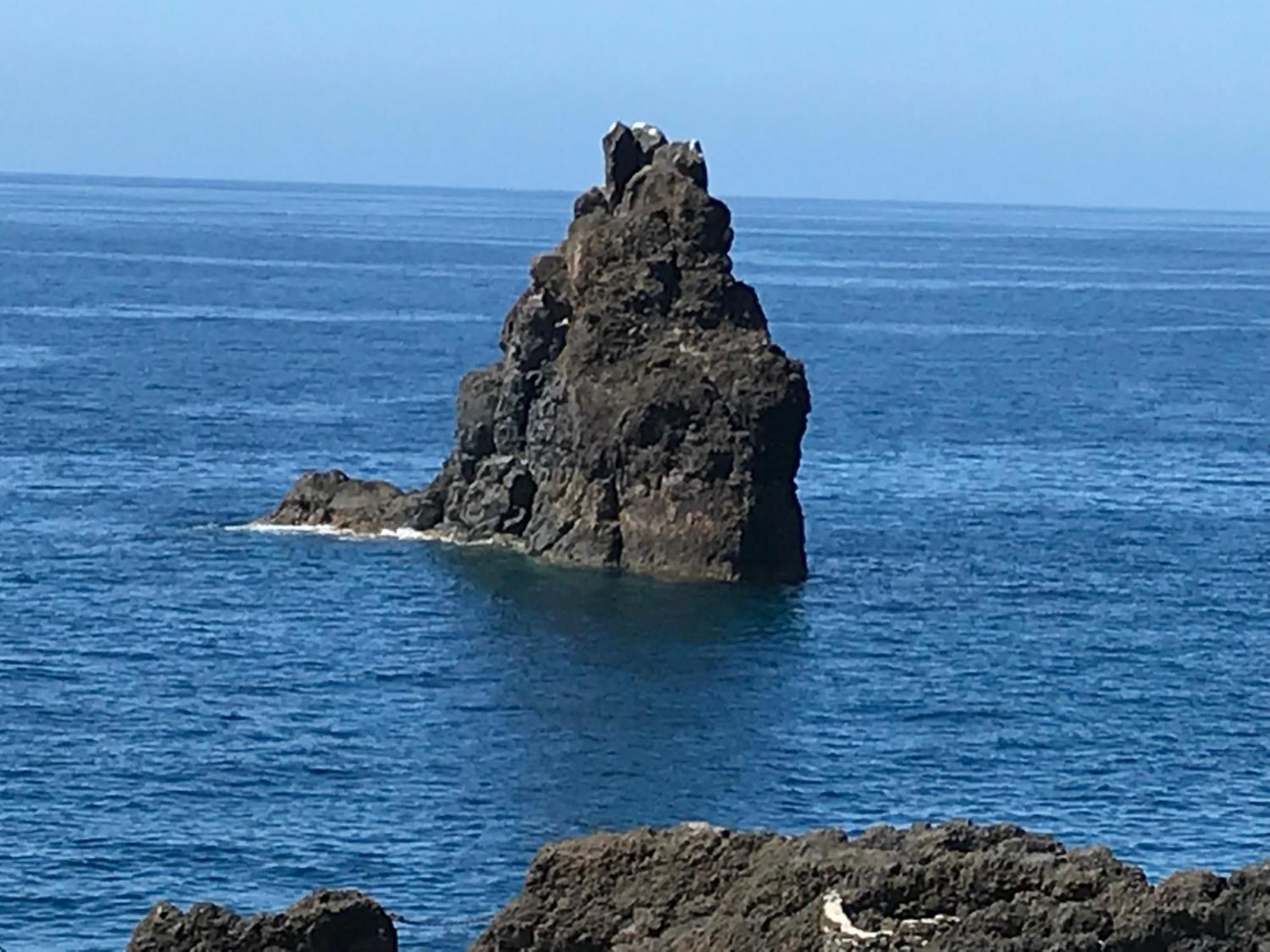 Apartamentos Do Mar Funchal מראה חיצוני תמונה